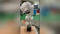 Shenzhen Mingqi Robot Robotic Pick and Place Robot Arm Mechanical Palletizer